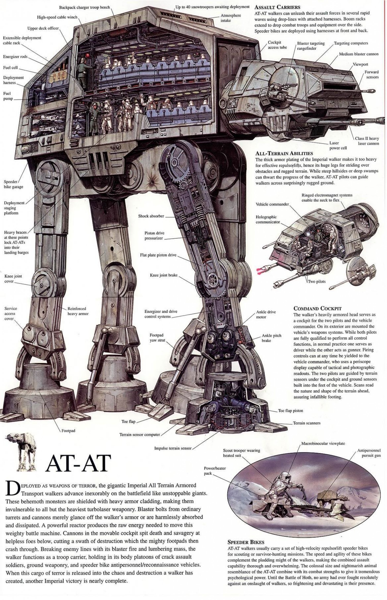 AT-AT Infographic
