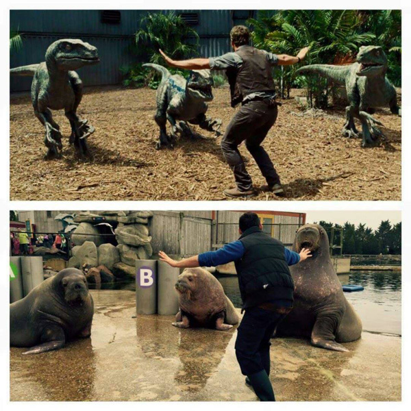 Zookeepers Hilariously Recreating Chris Pratt�s Jurassic World Raptor Pose