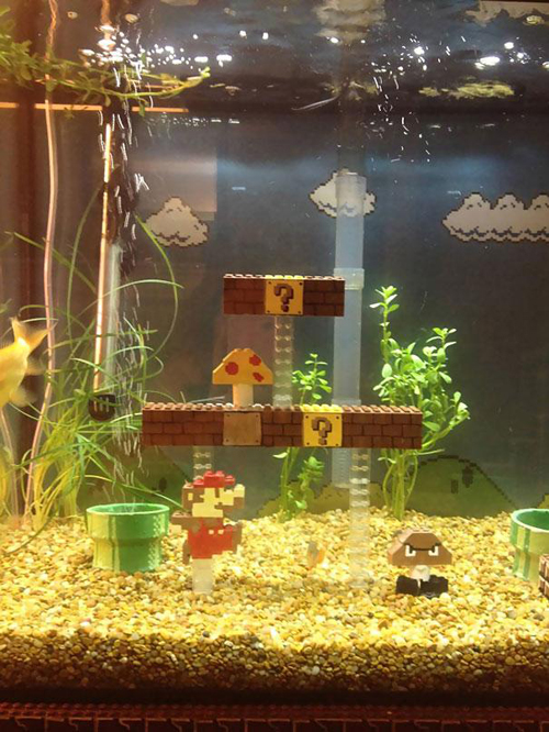 Awesome Super Mario Aquarium